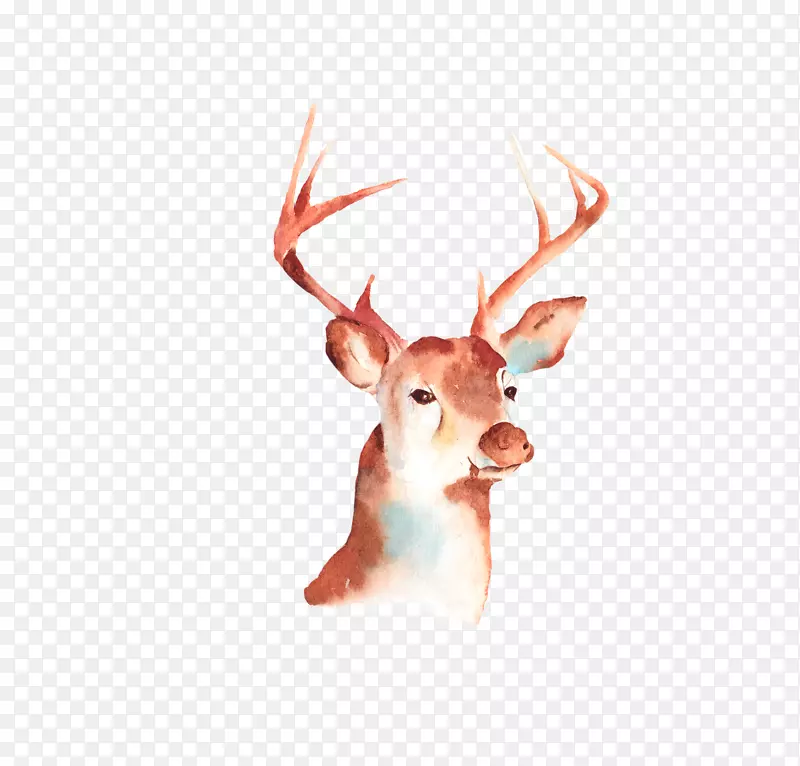 ʥ������¹�����ز�-������