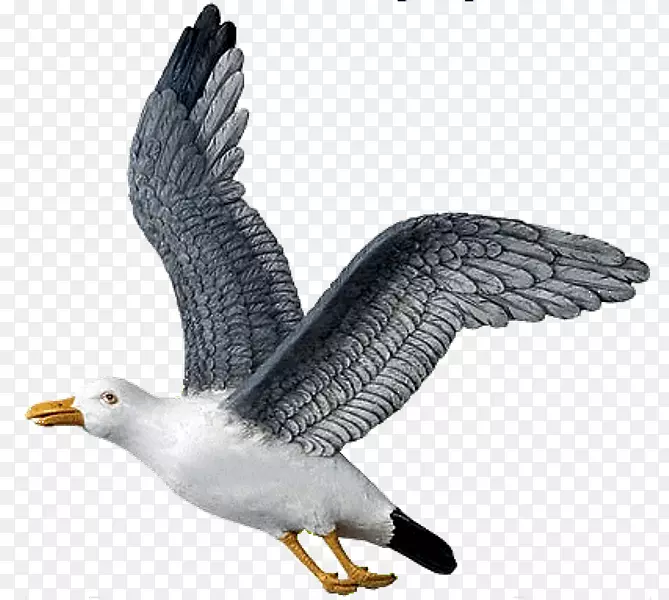 �ŷɸ����زĸ���-������