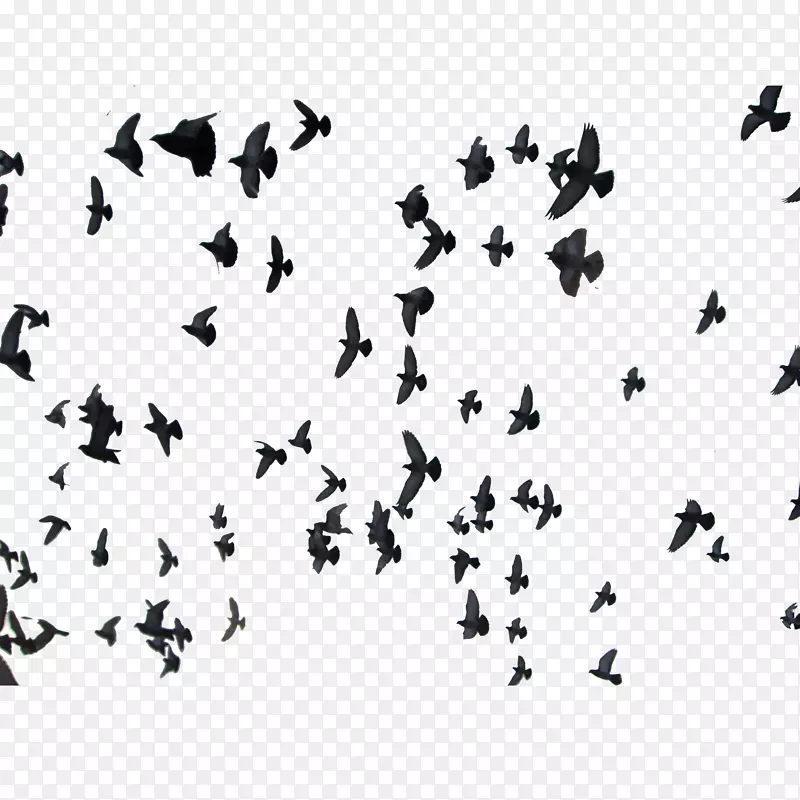 ���ŷɸ����ز�-������