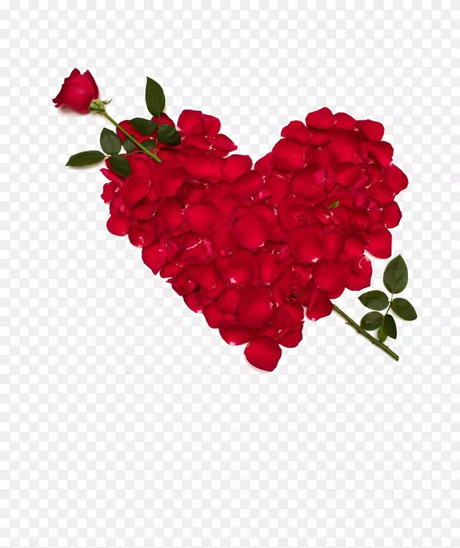 õ�尮��-������