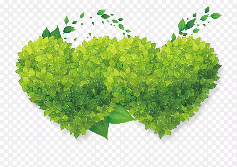 ������Ҷ�ز�-������