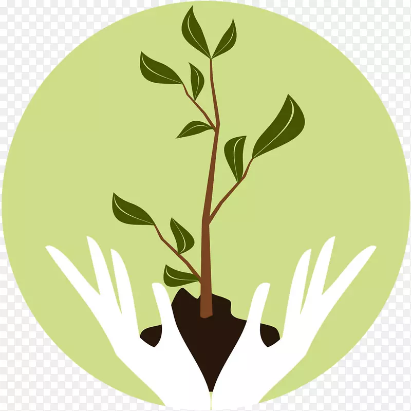 �ֻ�������ɫֲ��-������