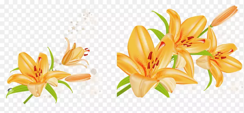 ��ɫʢ���ٺϻ�ʸ���ز�-������