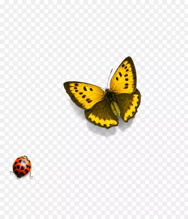 ����-������