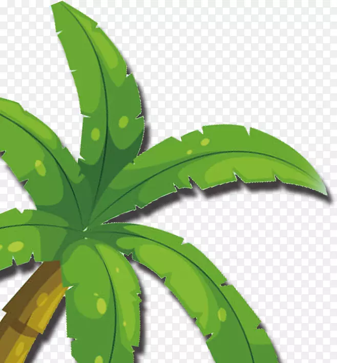 Ҷ�������ز�Ҷ��-������