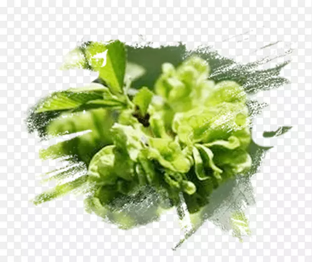 ��Ǯ��-������