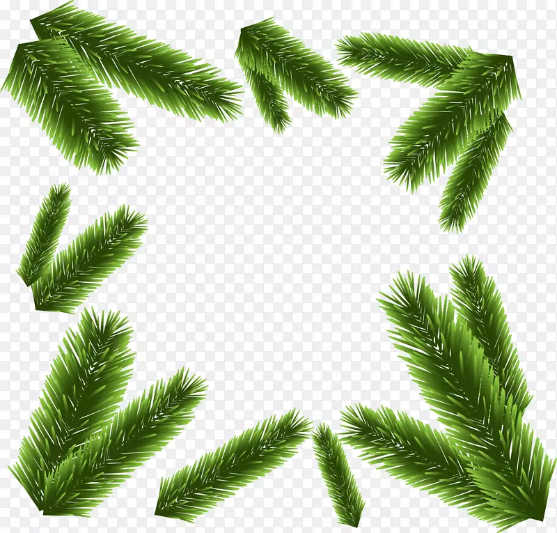 ��ɫ��֦���-������