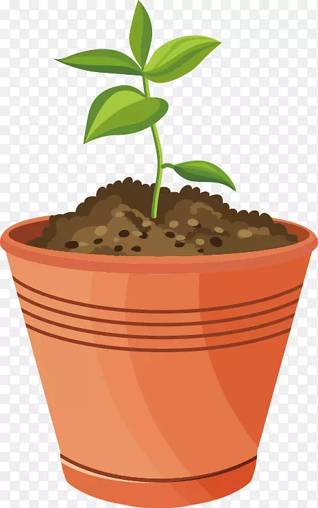 ����ʸ���ز�-������