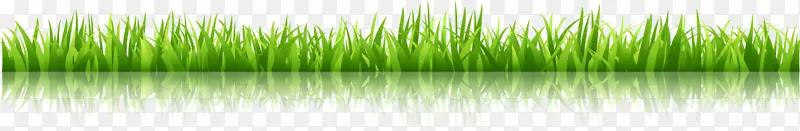 С������ɫС��-������