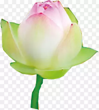 ˮ����Ӱ��������-������