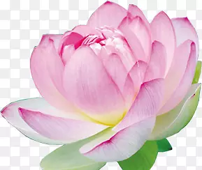 ˮ������������Ӱ-������