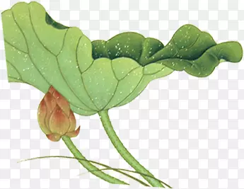 ������Ӱˮ������-������