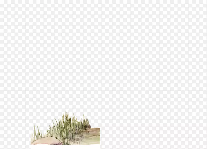 ���ݣ�ֲ���գ�����-������