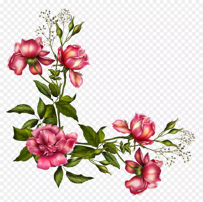 ��ɫ���컨��-������