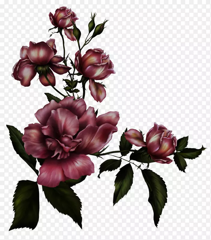 ��ɫ����ʢ��-������