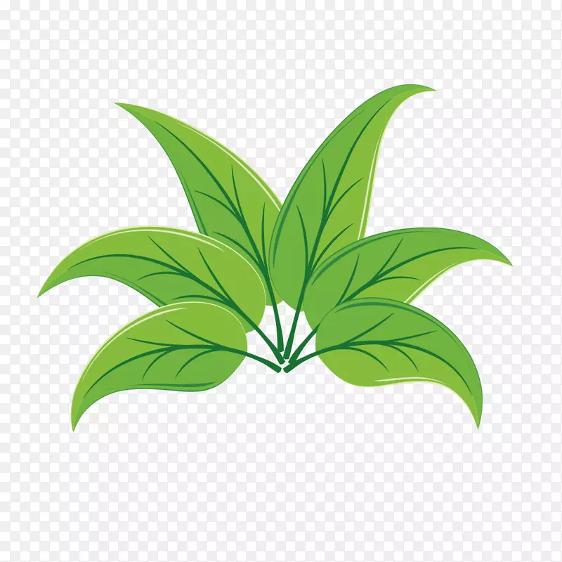 ��ݿ���-������