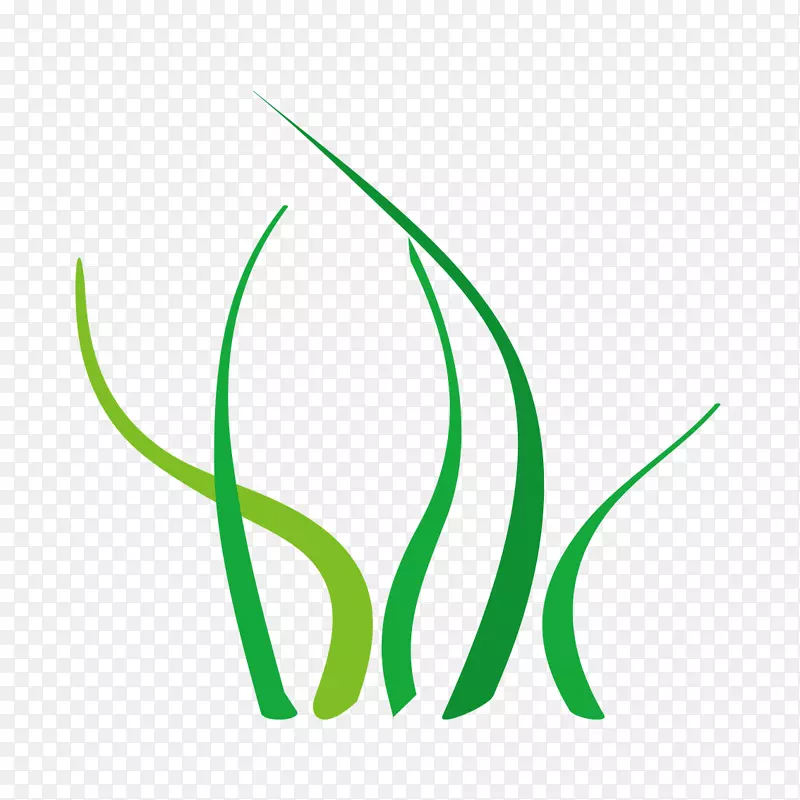 ��������-������