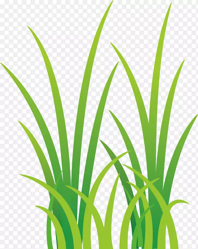 ��ݽ���װ�μٲ�-������