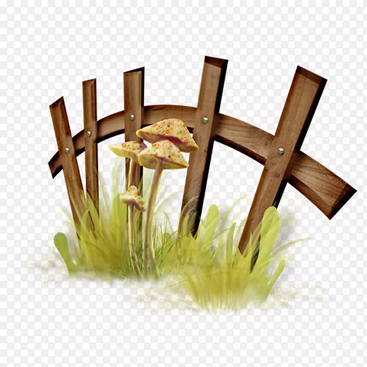 ��ͨդ��-������