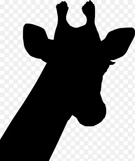 �ز� ����Ԫ�� PNG ʸ��  ¹-������