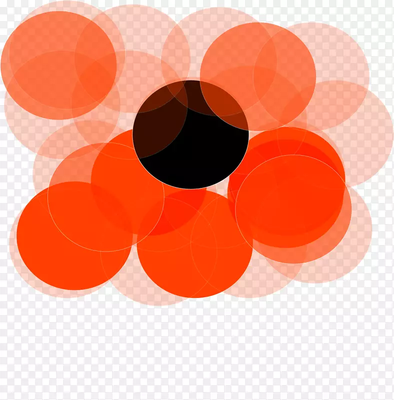 ��ɫ����ԲȦ-������