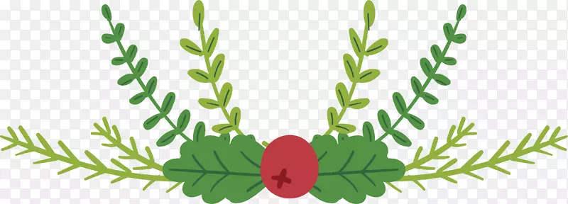 С������֦�����-������