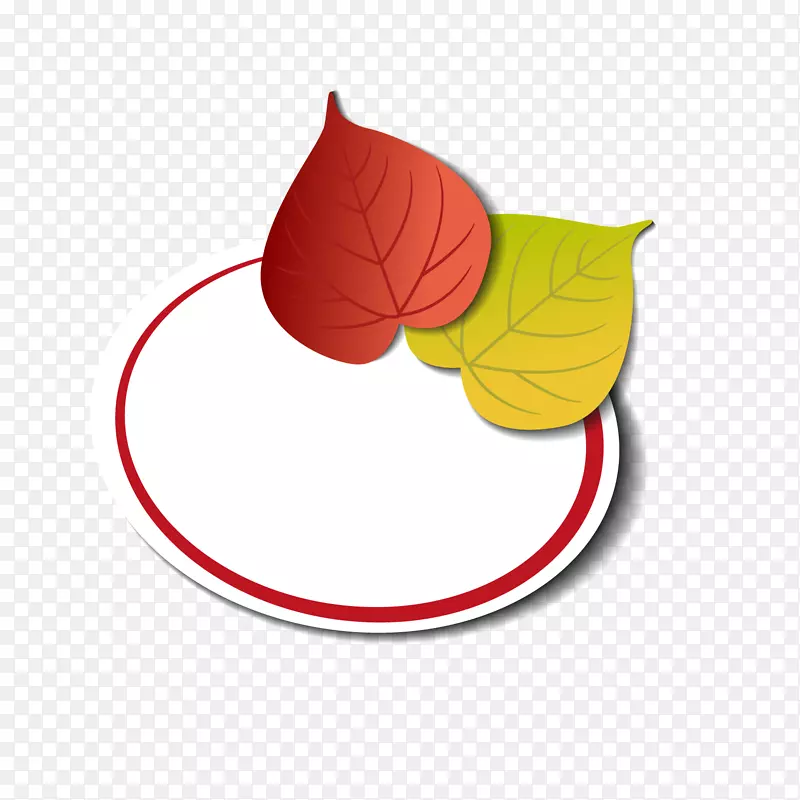 װ��ʸ����ͨ��ƽ���ڶ�����۱�-������