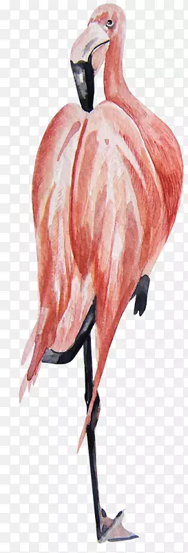 ��ͨ�ɰ�С����װ�ζ���ͷ��-������