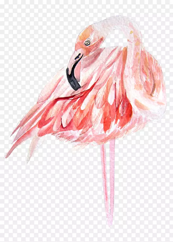 ��ͨ�ɰ�С����װ�ζ���ͷ��-������