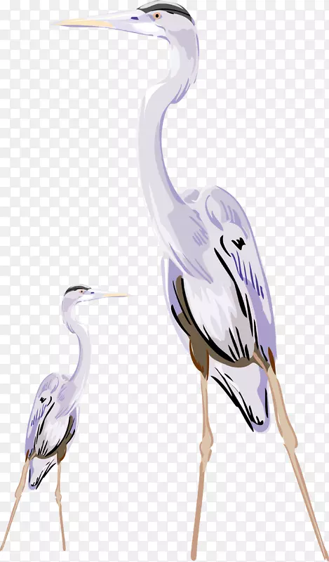 �ֻ��й��絤����ʸ��ͼ-������