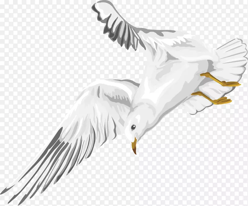 ��ɫ���º�Ÿʸ��-������