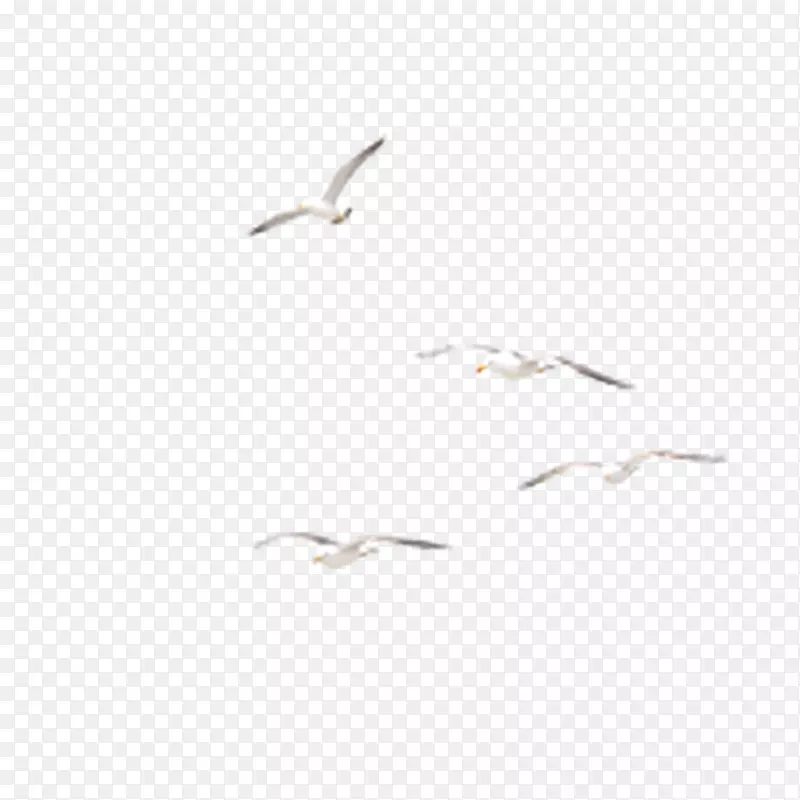 ��Ÿ�ز�ͼƬ-������