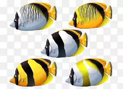 ��ͨ�ֻ������-������