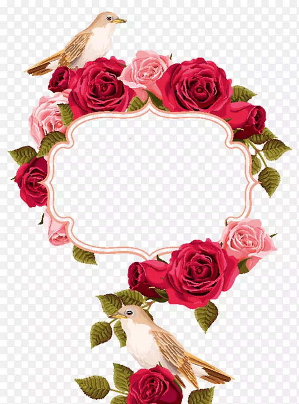 Ư����ɫõ�廨�߿�-������