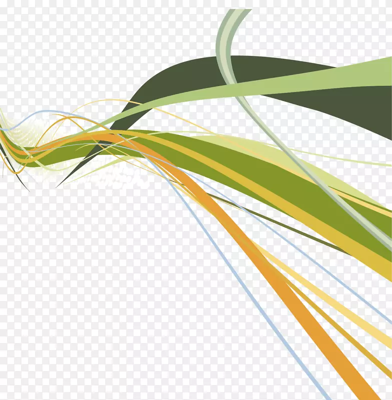 �����߿�-������