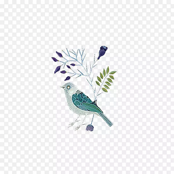 ����С��С��-������