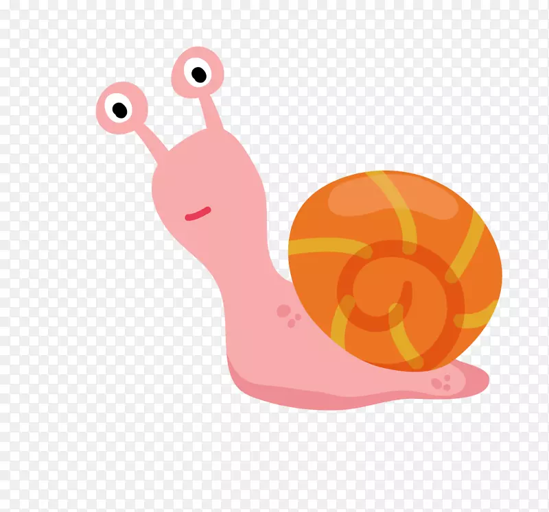 ��ͨ�ɰ�С����װ�ζ���ͷ��-������