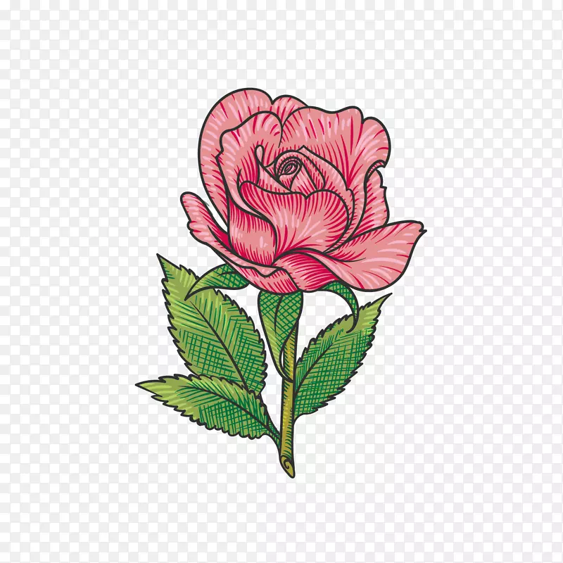 һ��õ�廨�������-������