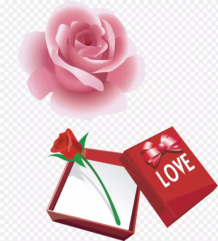 ��õ�廨-������