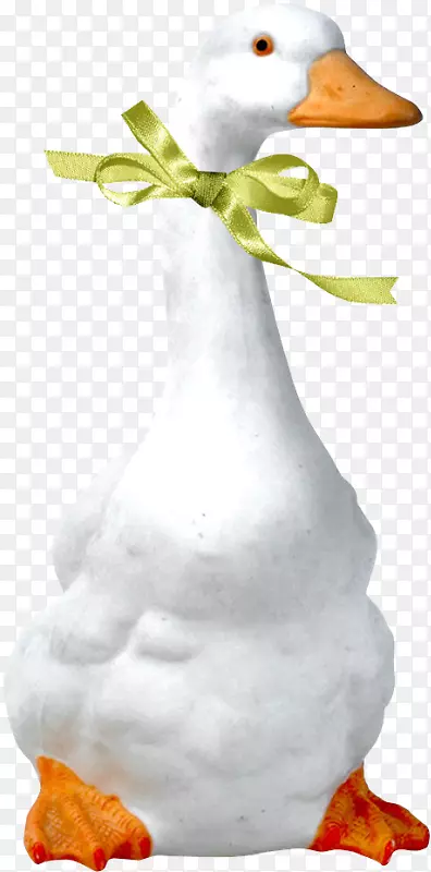 �ɰ��Ķ�-������