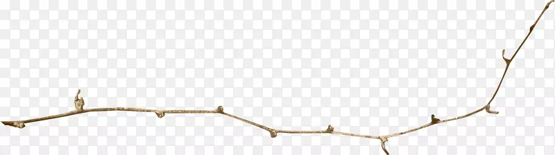 һ֧û��Ҷ�ӵ���֦-������