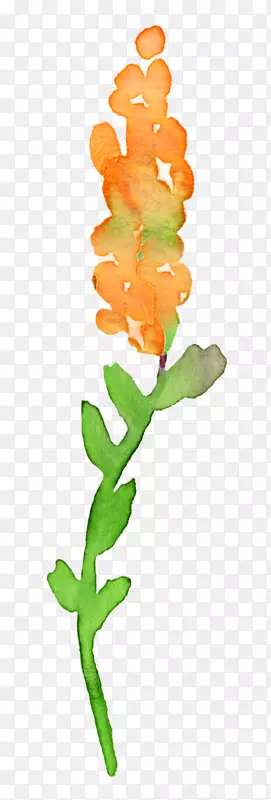 ˮ�ʻ��＾������Ƽ�����ˮ�ʻ�Ҷ-������