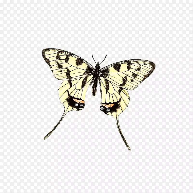 �������������-������