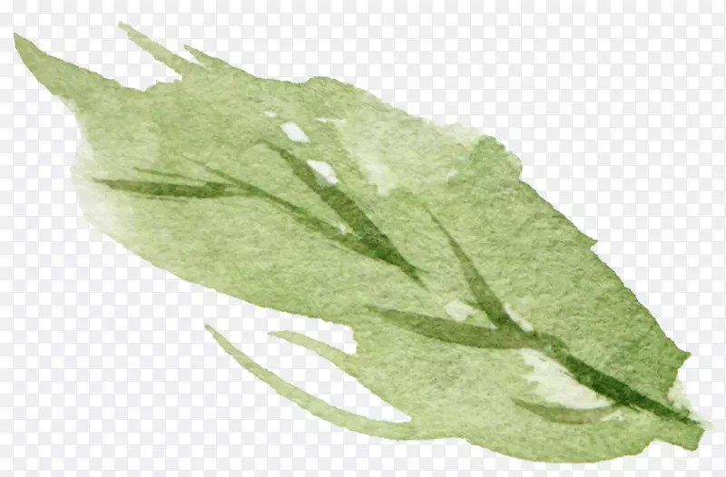 �ֻ�ˮ����Ҷ-������