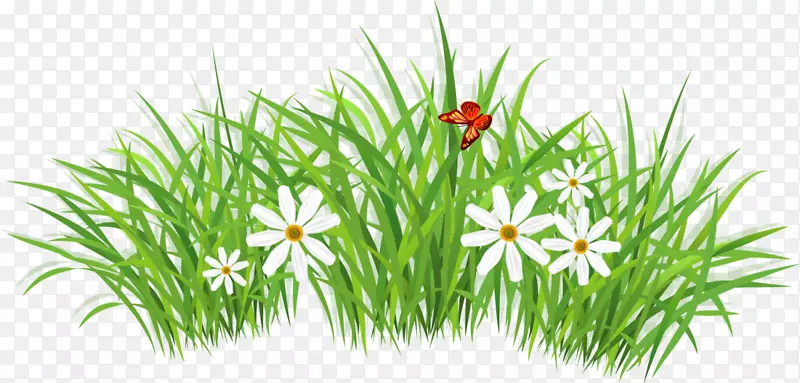 ���������̲ݻ���-������