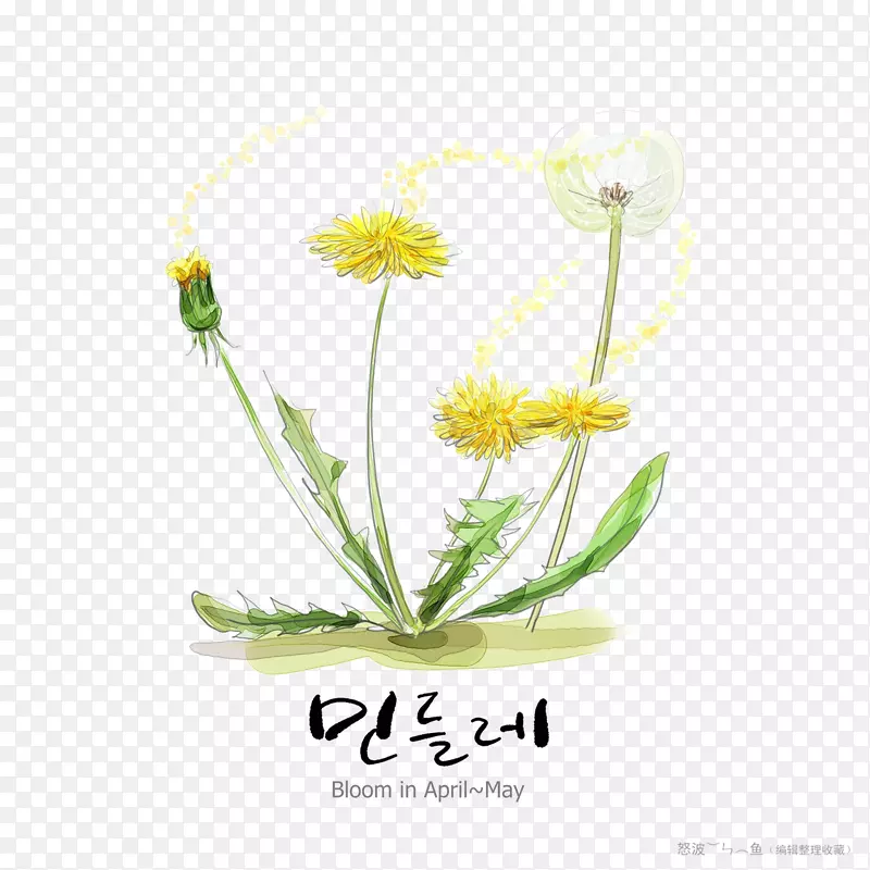 ֲ��-������