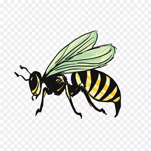 ��ͨ�ɰ�С����װ�ζ���ͷ��-������