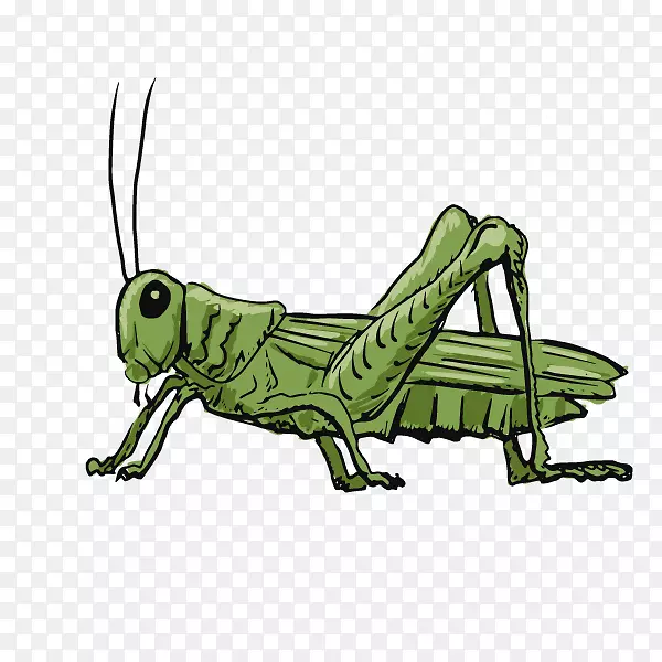 ��ͨ�ɰ�С����װ�ζ���ͷ��-������