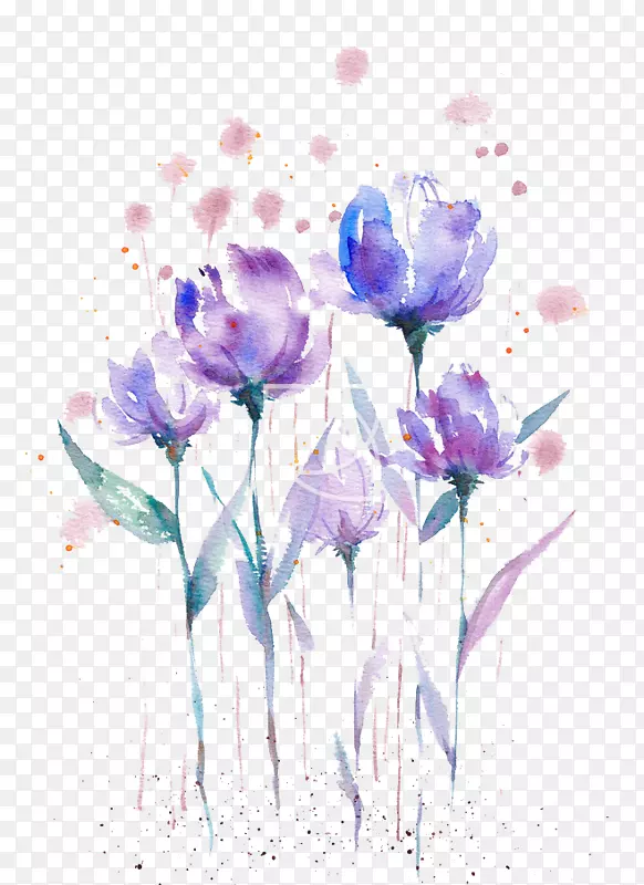 ˮ���ʻ�-������