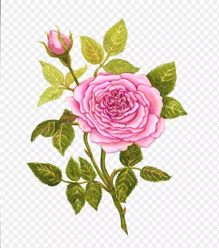 �¼����ֻ�����ز�-������